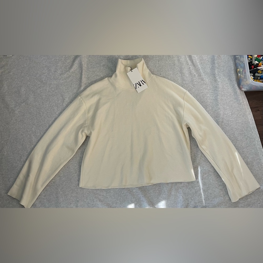 Zara Mock Turtleneck Sweater